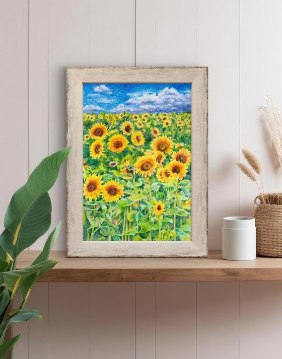 Sunflower field under a summer sky