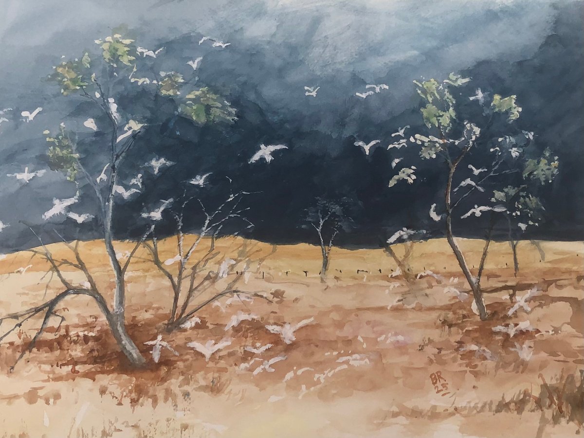 Impressionistic Animal Watercolour By Bernd Rieve, 17 X 12, Imagine Cockatoos Ii, Original Artwork