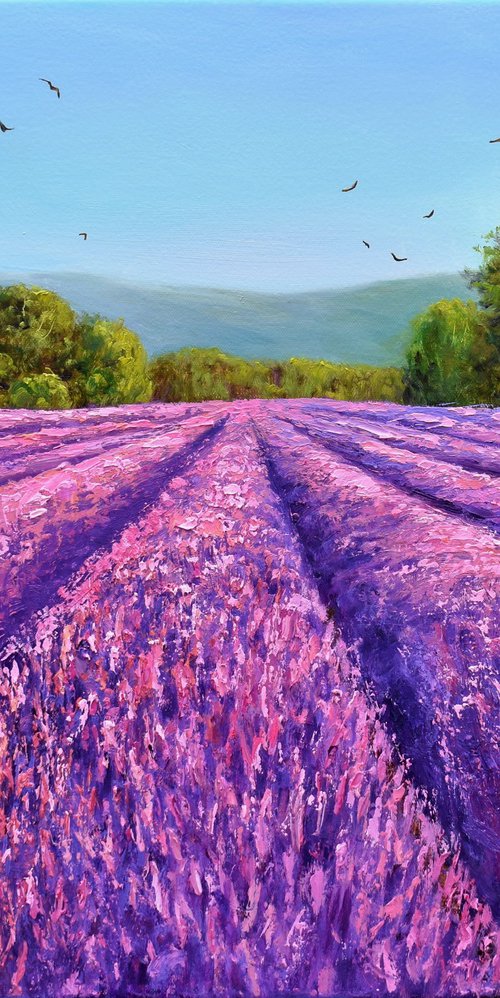 Flight Over Lavender Fields by Yulia Nikonova
