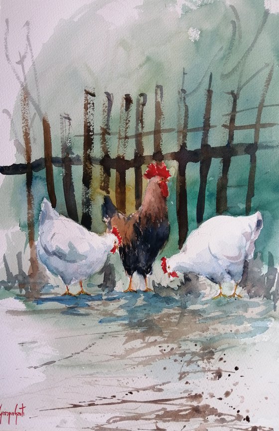 roosters and hens 11