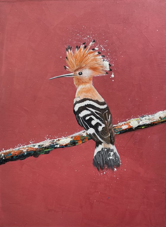 Hoopoe