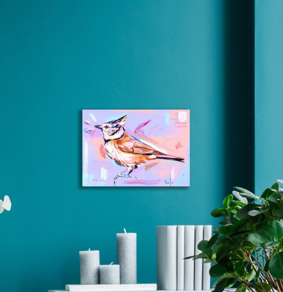 Crested tit