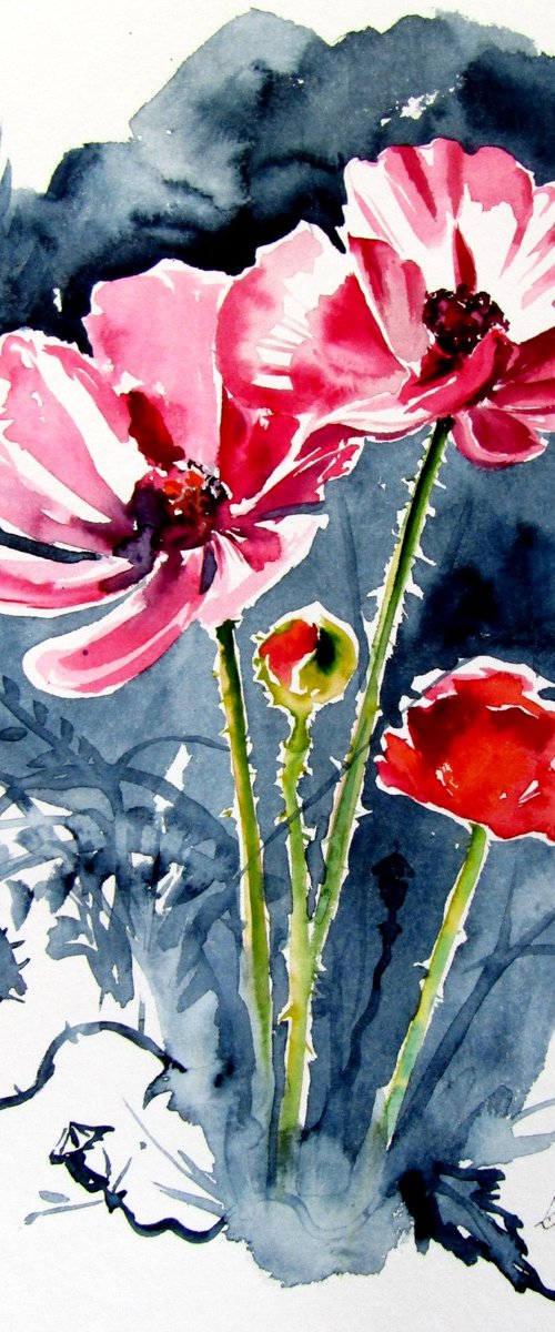 Some poppy flowers by Kovács Anna Brigitta