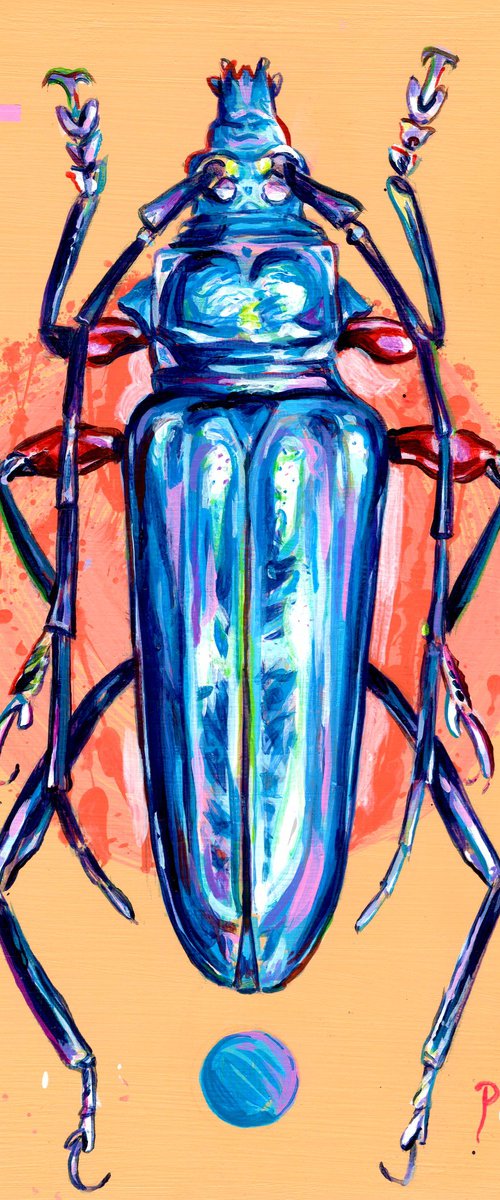 Blue Longhorn Beetle by Paul Ward