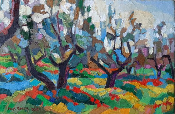 Olive grove