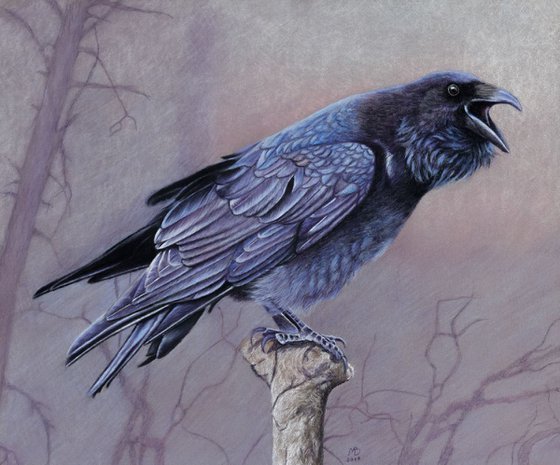 Original pastel drawing "Raven"