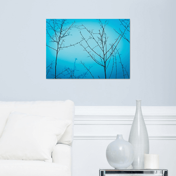 Twilight in the outdoors | Limited Edition Fine Art Print 1 of 10 | 60 x 40 cm