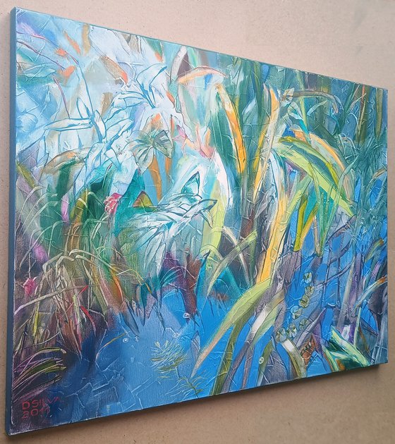 Water Plants