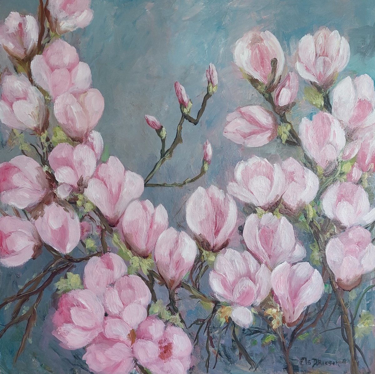 Impressionistic Botanical Oil Painting By Els Driesen, 24 X 24, Magnolia In Spring, Original Artwork