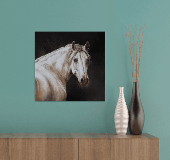 Horse portrait in monochrome