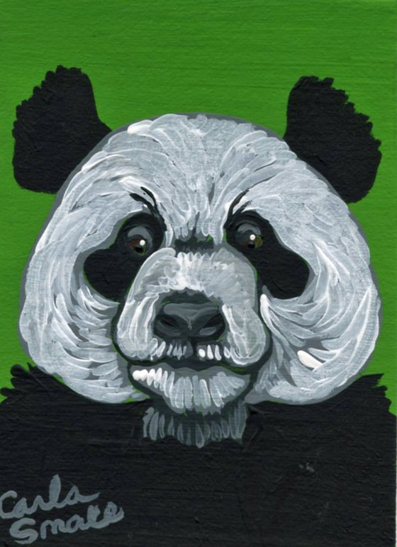 Panda Bear