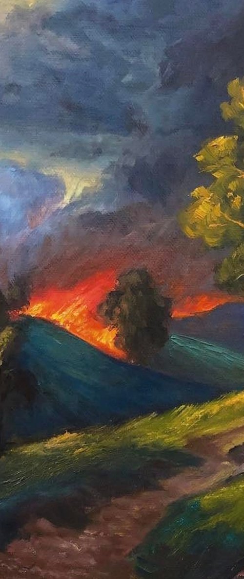 Wild Fires by Christopher Vidal