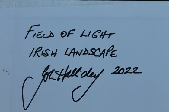 Field of Light, Irish Landscape