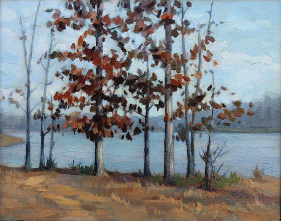 Falls Lake, Winter 01