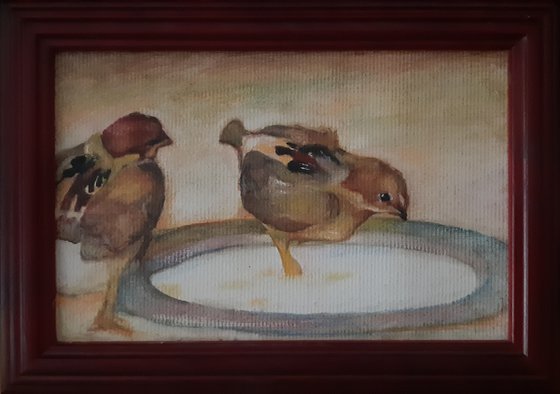 Two chicks with a tin plate