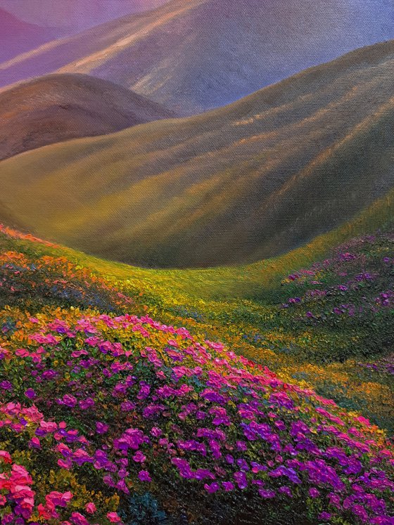 Magical sunset in the valley