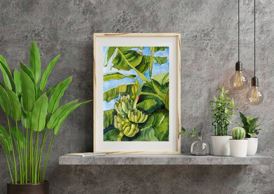 Banana plants - orignal tropical green watercolor