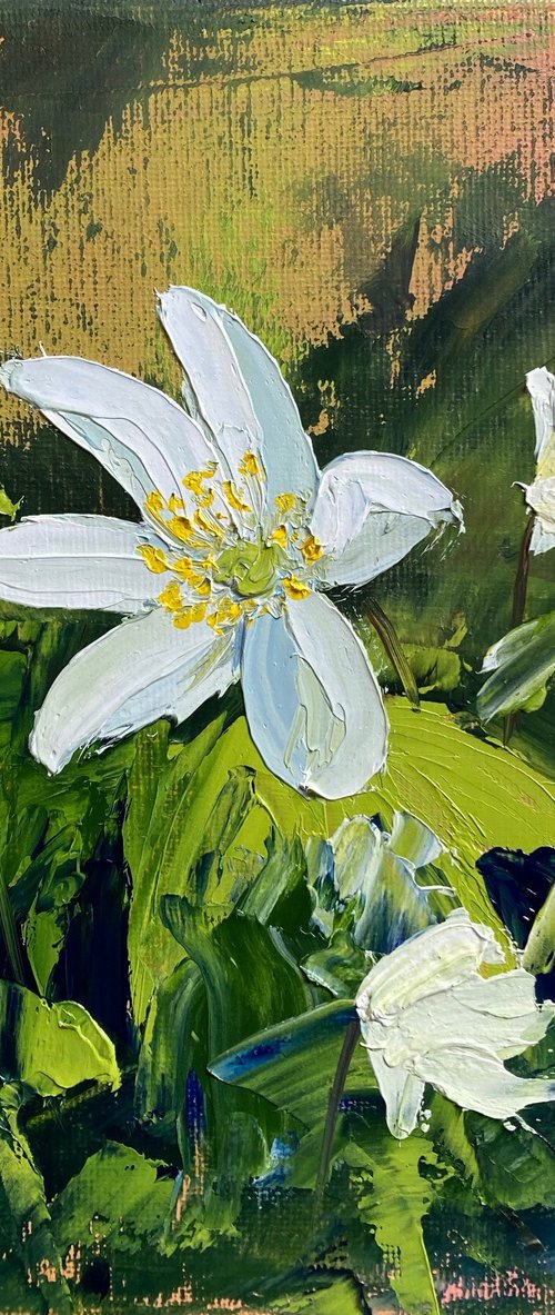 Woodland Anemone by Silvie Wright