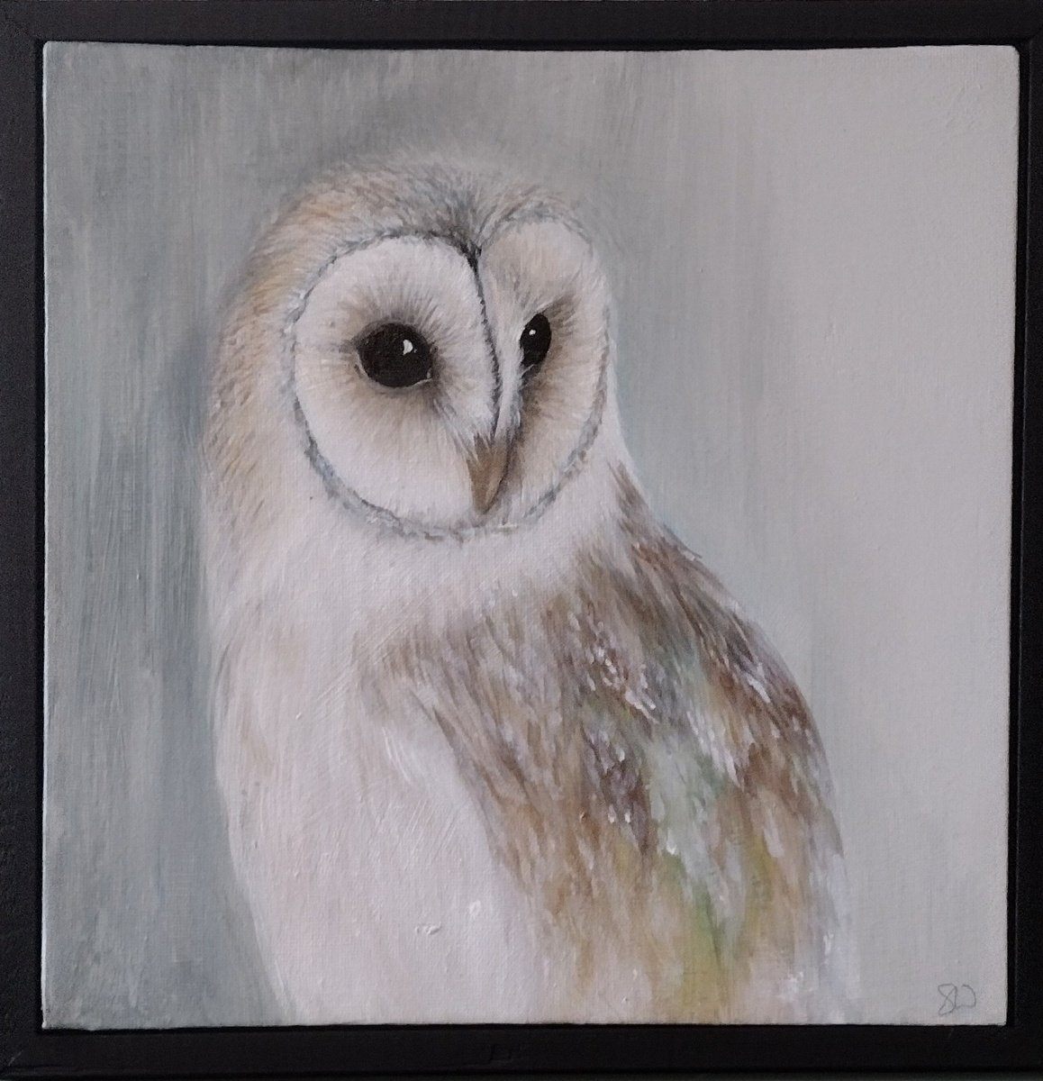 Barn Owl by Sara Westaway