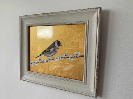 Golfinch ~ Framed