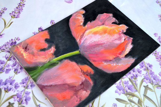 Coral tulips 1