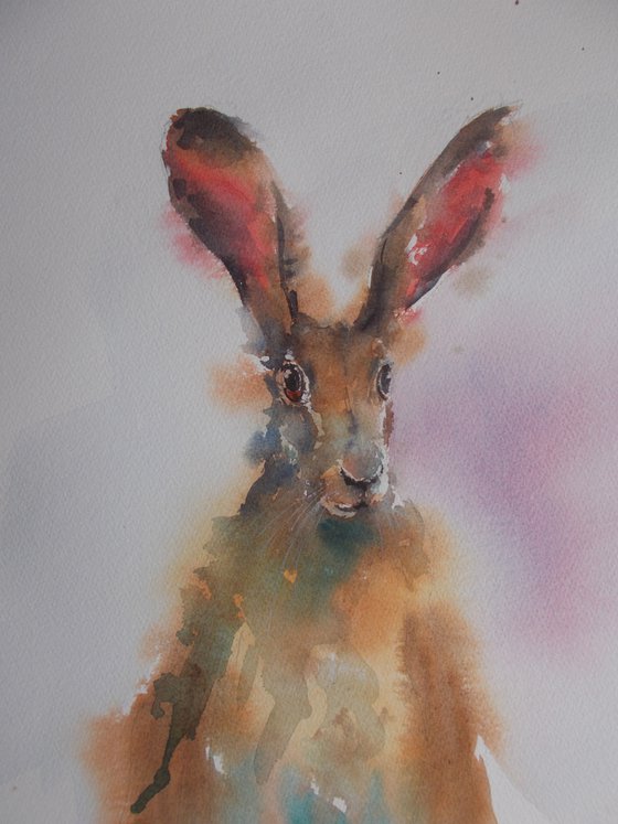 hare 4