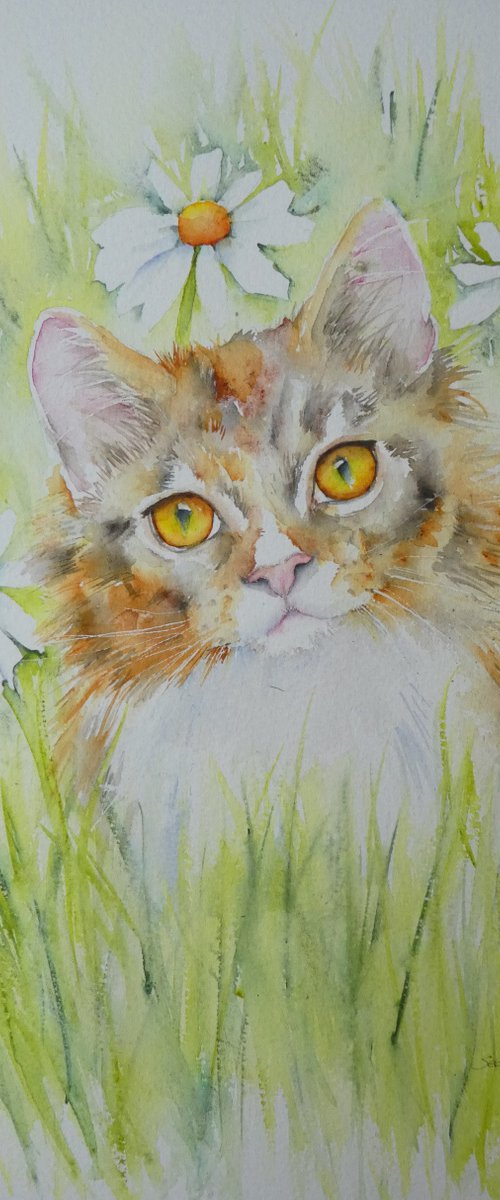 Summer Cat by Seonaid Parnell