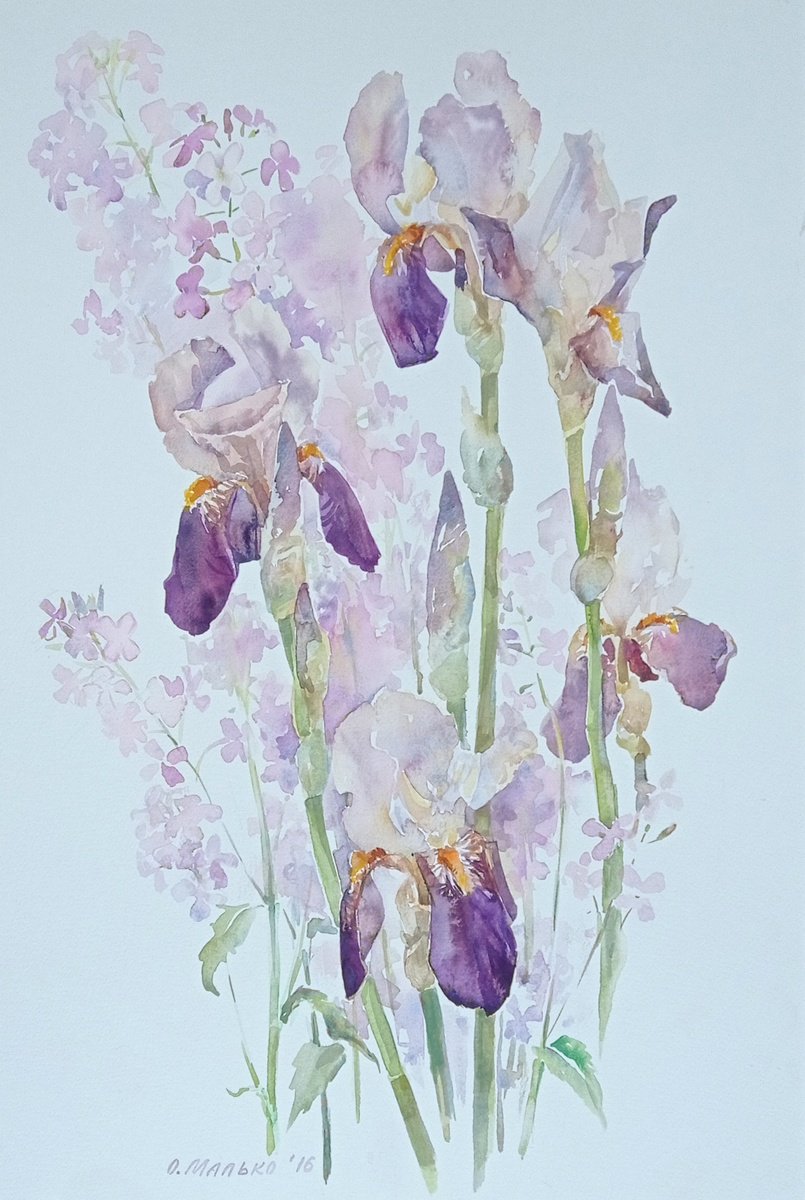 Purple irises with night violets / ORIGINAL watercolor 15x22 (38x56cm) by Olha Malko