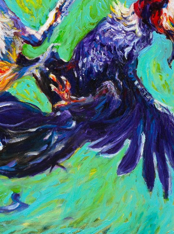 Fighting Roosters