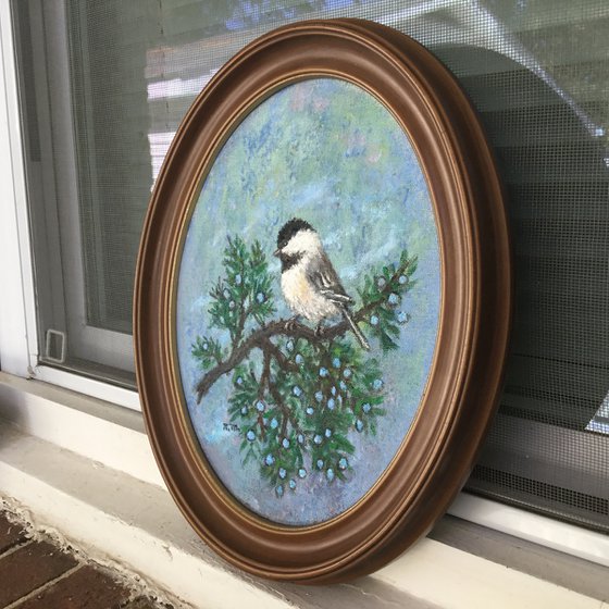 CHICKADEE # 51 - 10X8 oval oil  (SOLD)