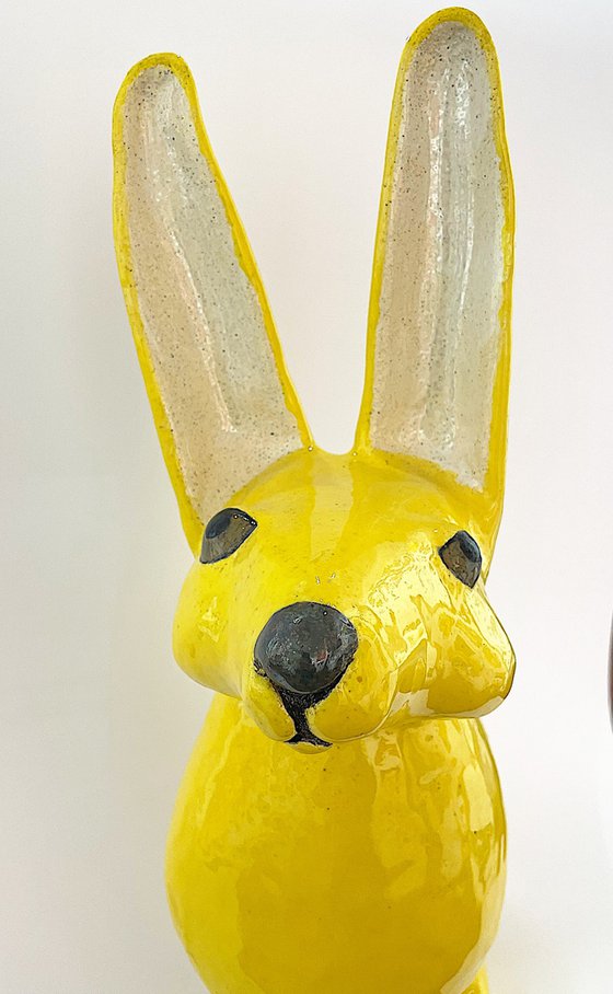 Yellow rabbit