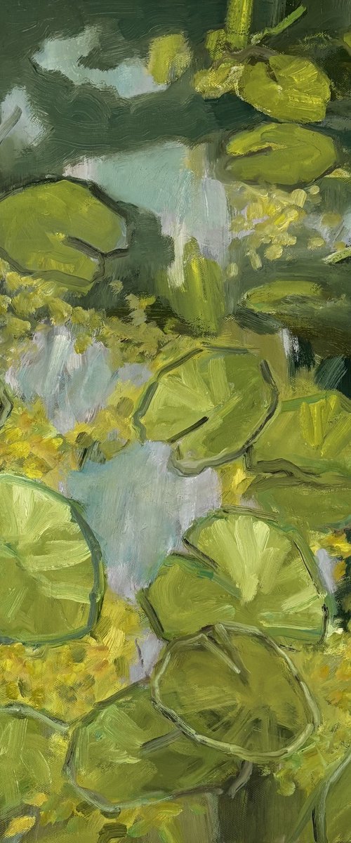 Lily Pads and Pond Weed by Joanna Farrow