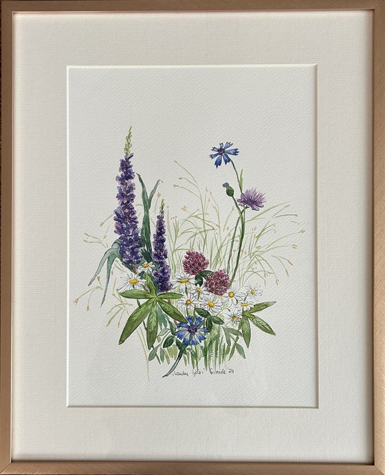 Wild Flowers