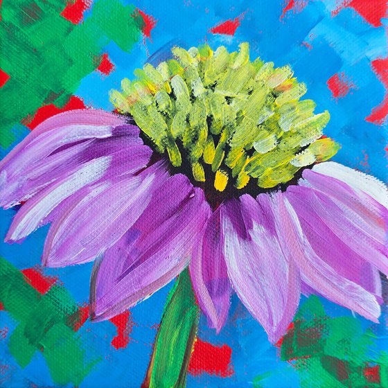 Violet Coneflower Burst