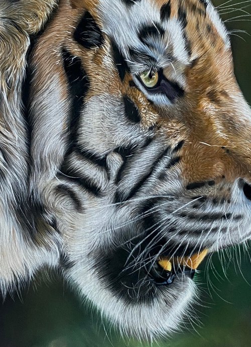 On the Hunt by Clare Parkes