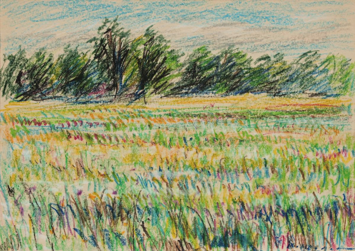 Meadows Landscape, 2017, oil pastel on paper, 21 x 29,7 cm by Alenka Koderman