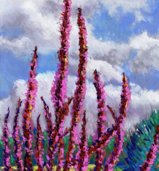 Summer on the Norfolk Broads