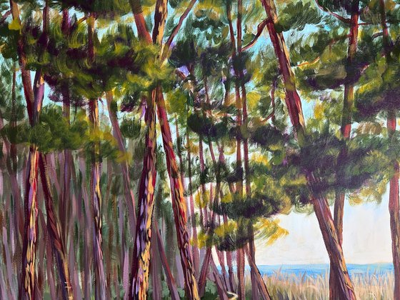 Walk Along the Coast