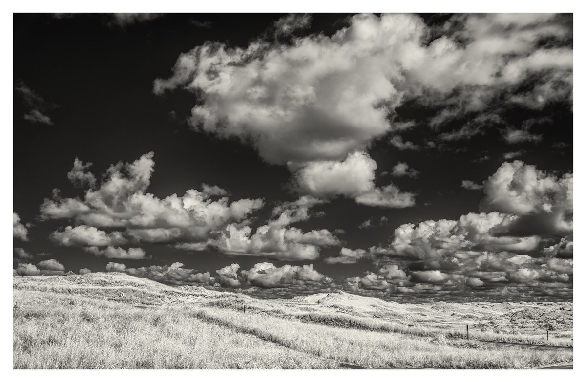 Photorealistic Landscape Photograph By Brooke T Ryan, 48 X 32, Provincelands - 48 X 32, Original Artwork