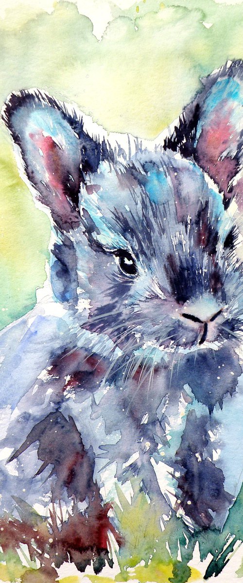 Gray rabbit by Kovács Anna Brigitta