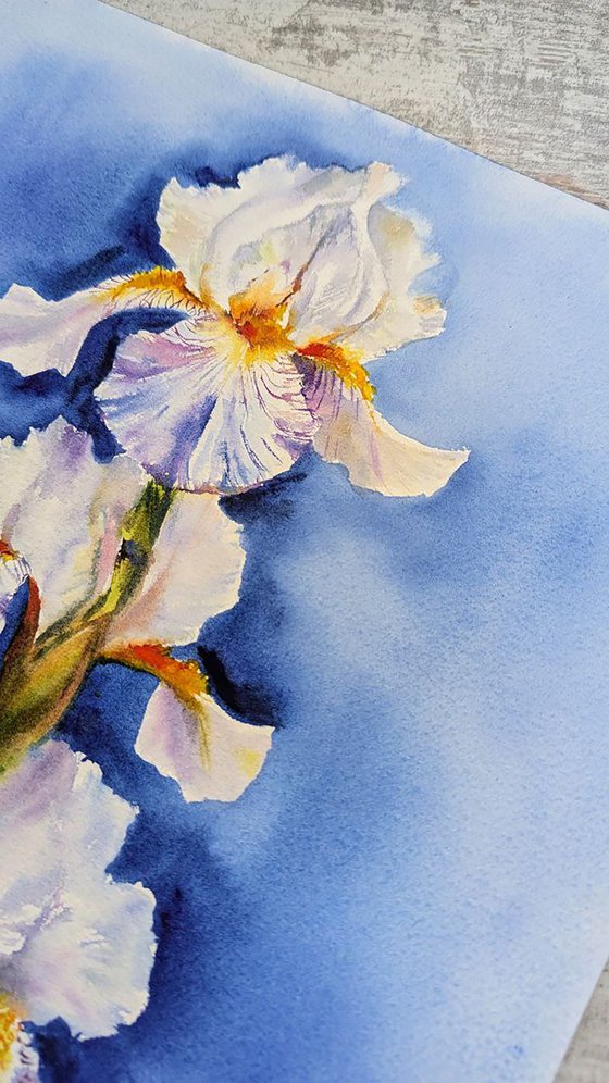 White Iris Symphony