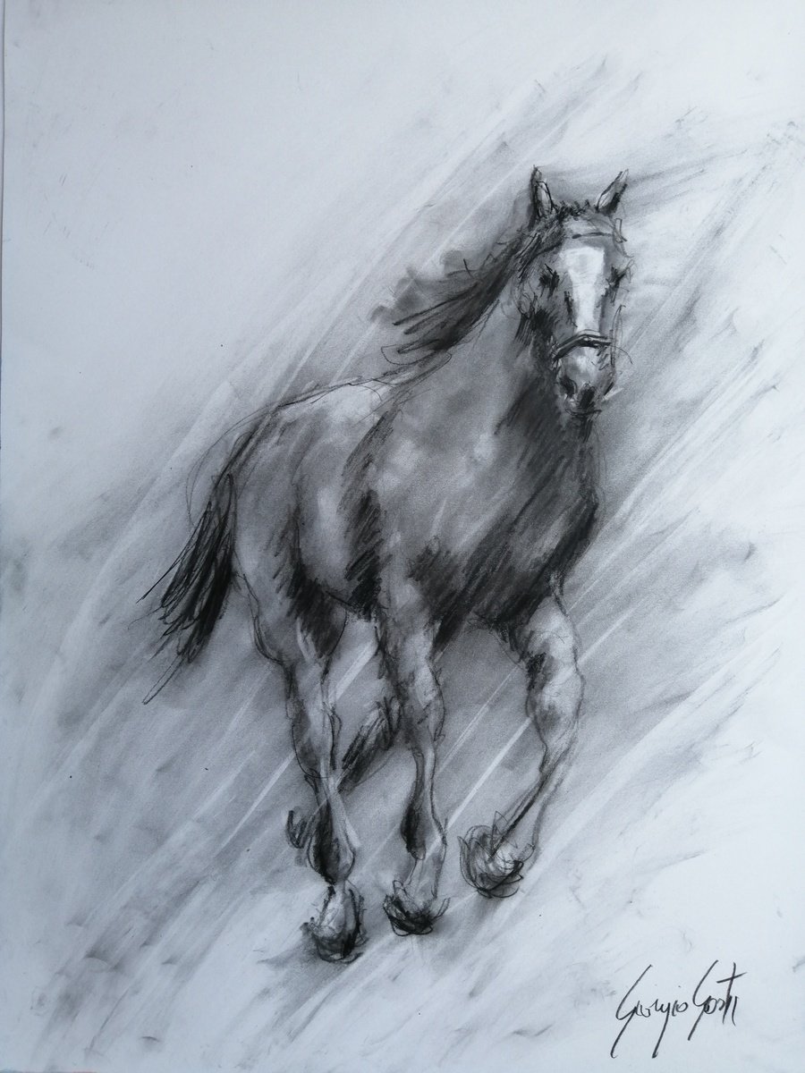 Impressionistic Animal Charcoal Drawing By Giorgio Gosti, 17 X 23, Horses 22, Original Artwork