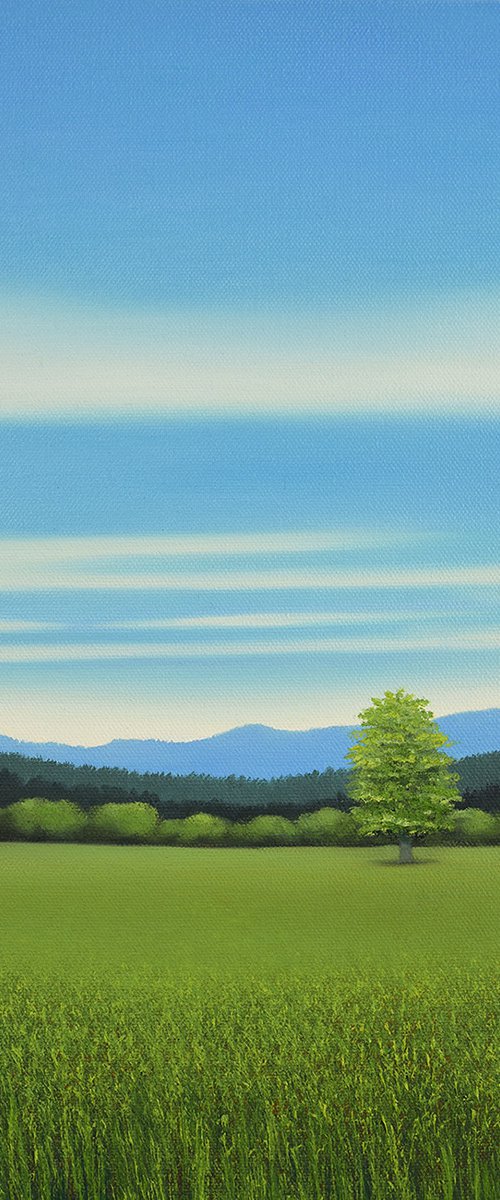 Grassy Field - Blue Sky by Suzanne Vaughan