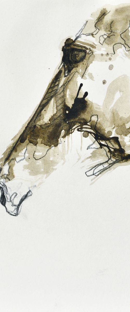 Equine Nude 160 by Benedicte Gele