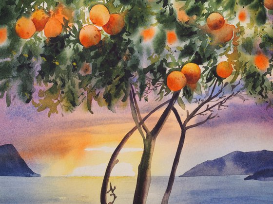 Mediterranean sunset with oranges tree