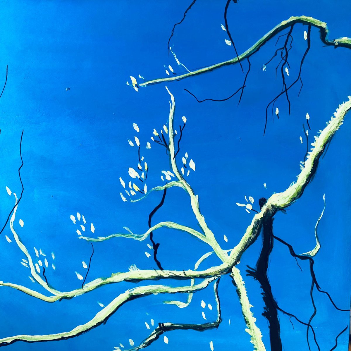 Impressionistic Botanical Acrylic Painting By Shabs Beigh, 12 X 12", Magnolia In Spring, Original Artwork