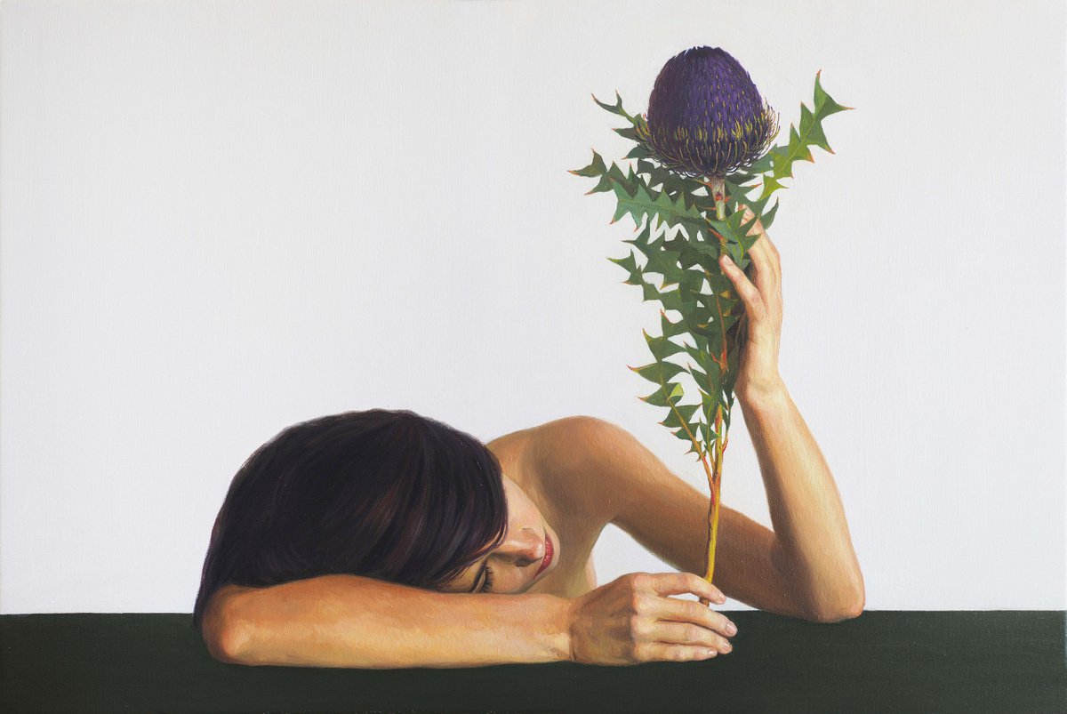 Banksia by Sasha Sokolova