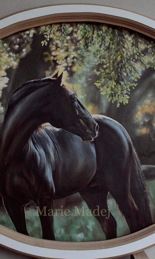 A memory of summer by Marie Madej