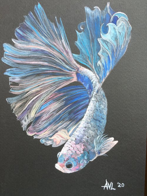Exotic fish by Abigail Long