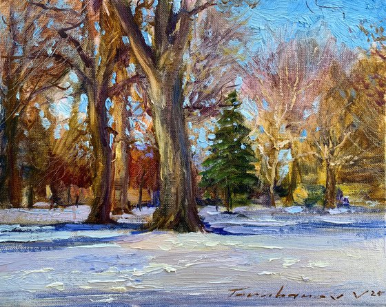 A sunny winter afternoon